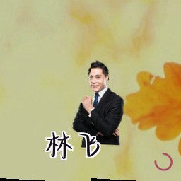 林飞